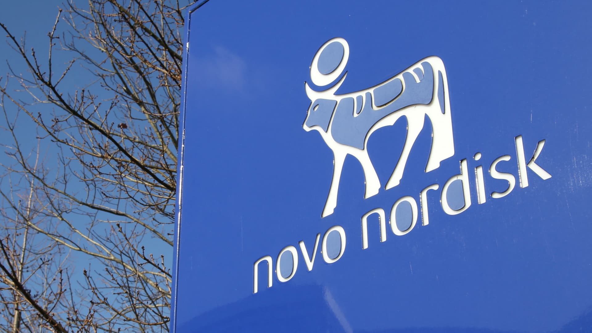 Novo Nordisk shares pop on early-stage weight loss drug trial results [Video]