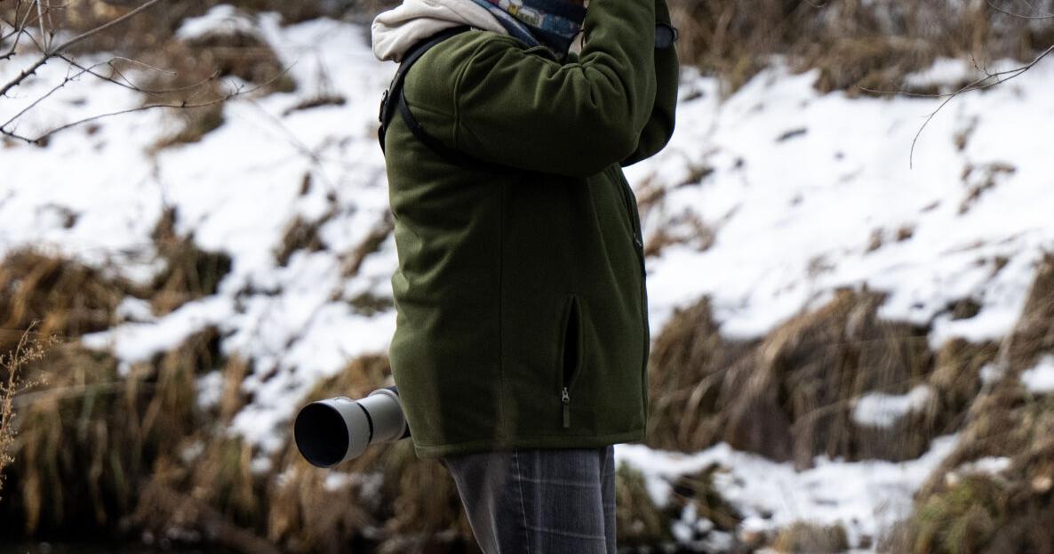 Bird Call: Starting a bird watching hobby | Lifestyle [Video]