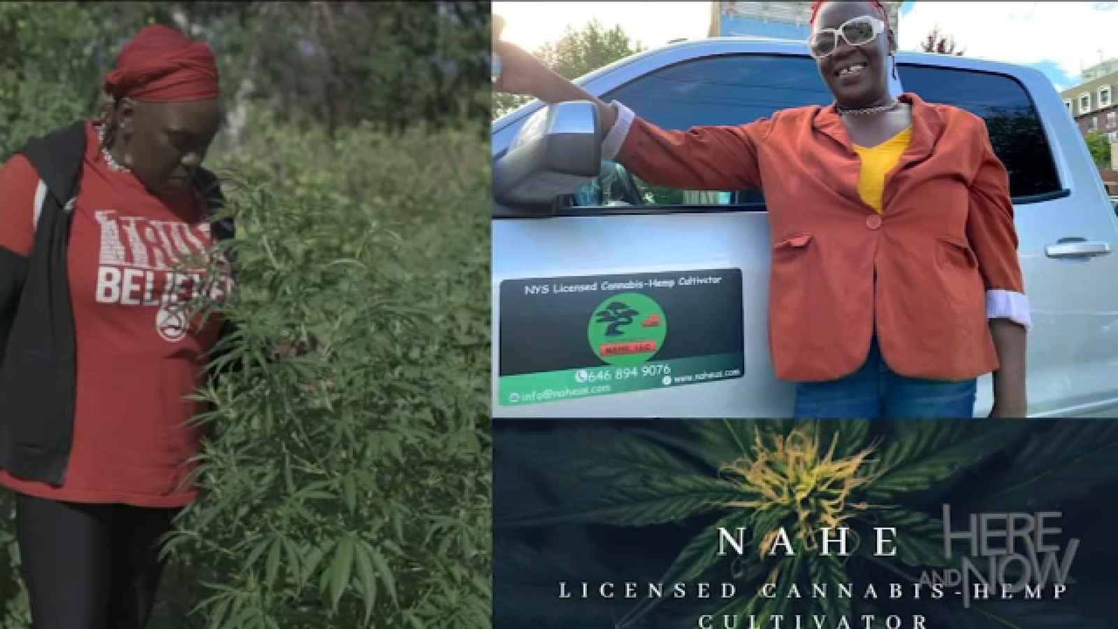 Here and Now with Sandra Bookman: Black-owned businesses of New York State’s growing cannabis industry [Video]