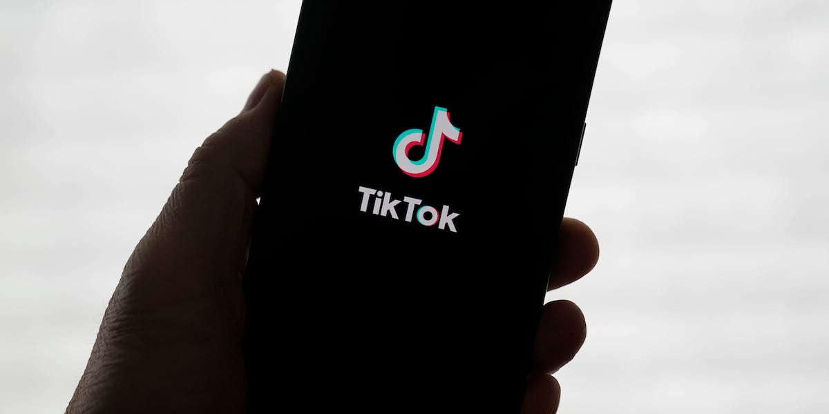 New bid for TikTok from Perplexity AI could give US government 50% stake [Video]